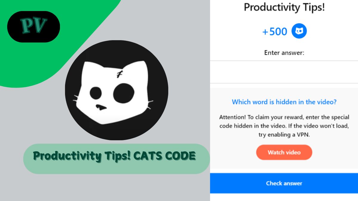 productivity tips cats code