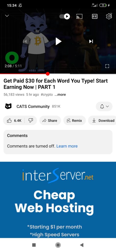 earn $30 Per word cats code