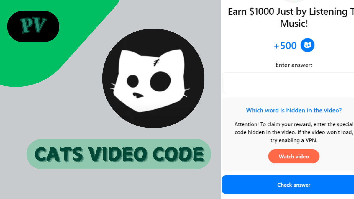 Earn $1000 Just By Listening To Music Cats Code