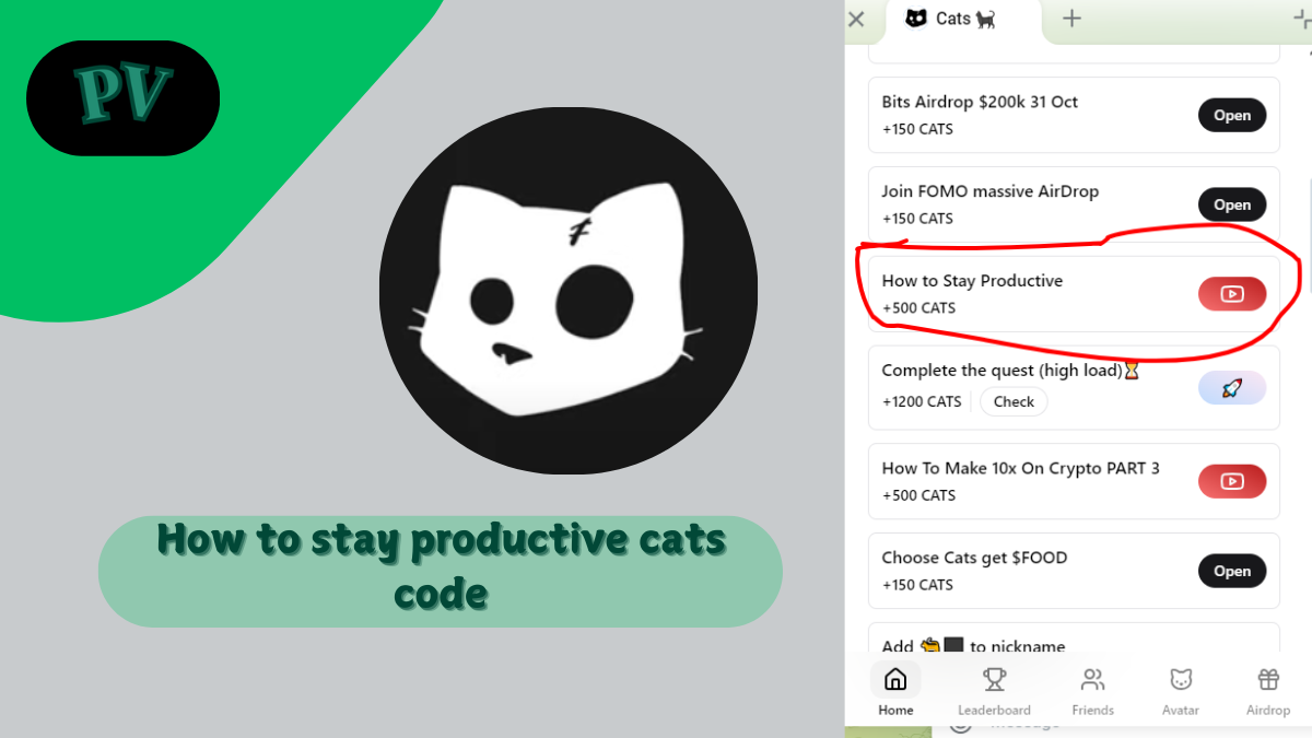 how to stay productive cats code