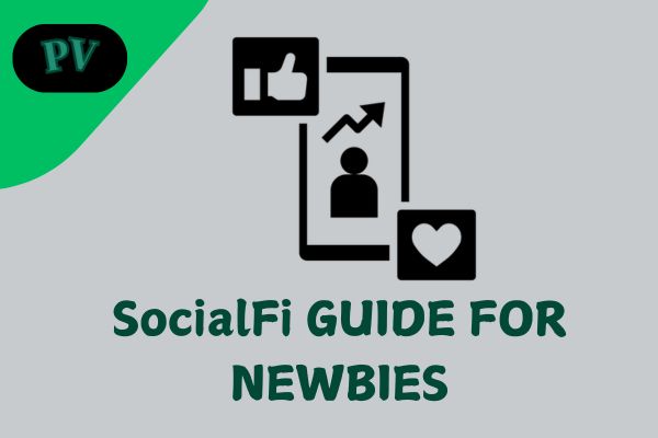 what is socialfi